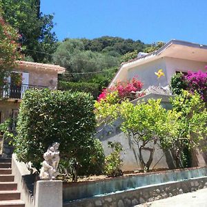 Villa Lina B&B